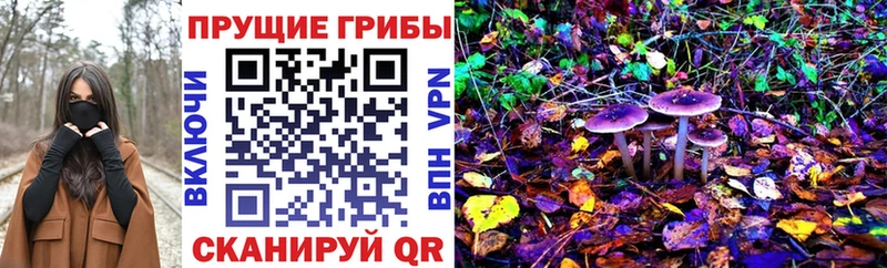 ОМГ ОМГ онион  Сергач  Галлюциногенные грибы ЛСД 