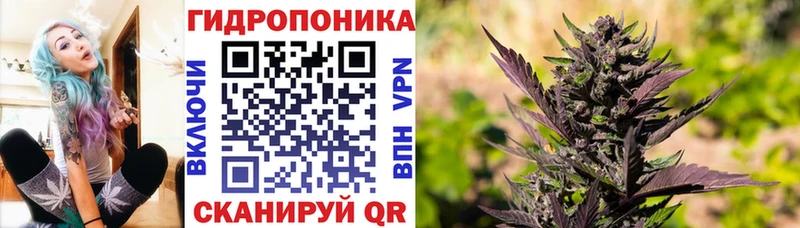 Бошки марихуана THC 21%  Сергач 